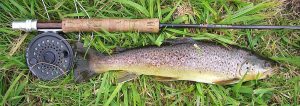 1200px-browntrout